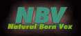 NBV