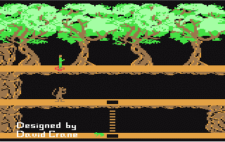 [Immagine iniziale di Pitfall 2]